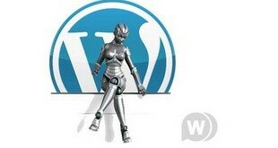 Как установить плагин на Wordpress